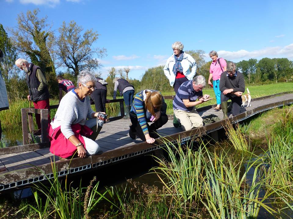 New Wetland at Stonebridge