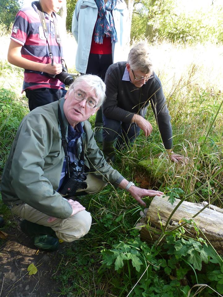 Peter Marren identifying Oyster Mushrooms