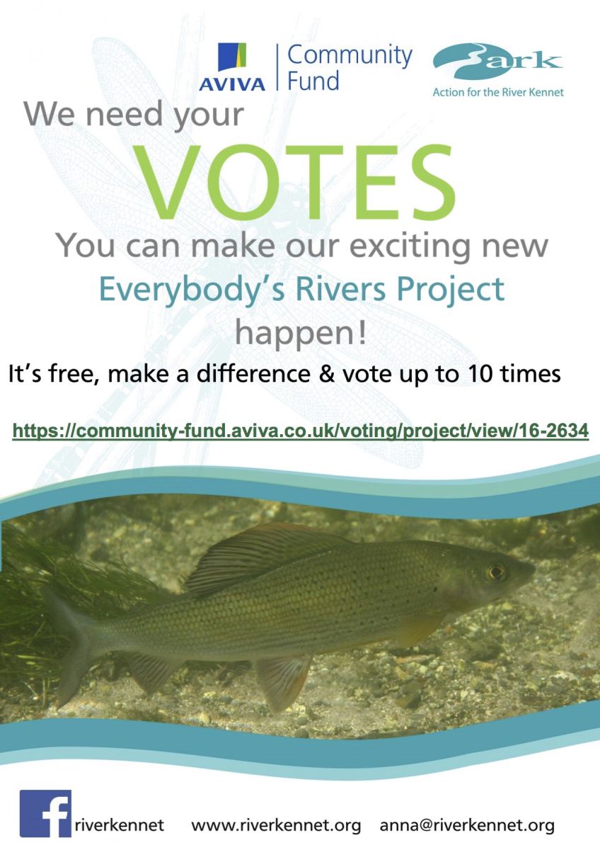 vote for ARK for Aviva funding