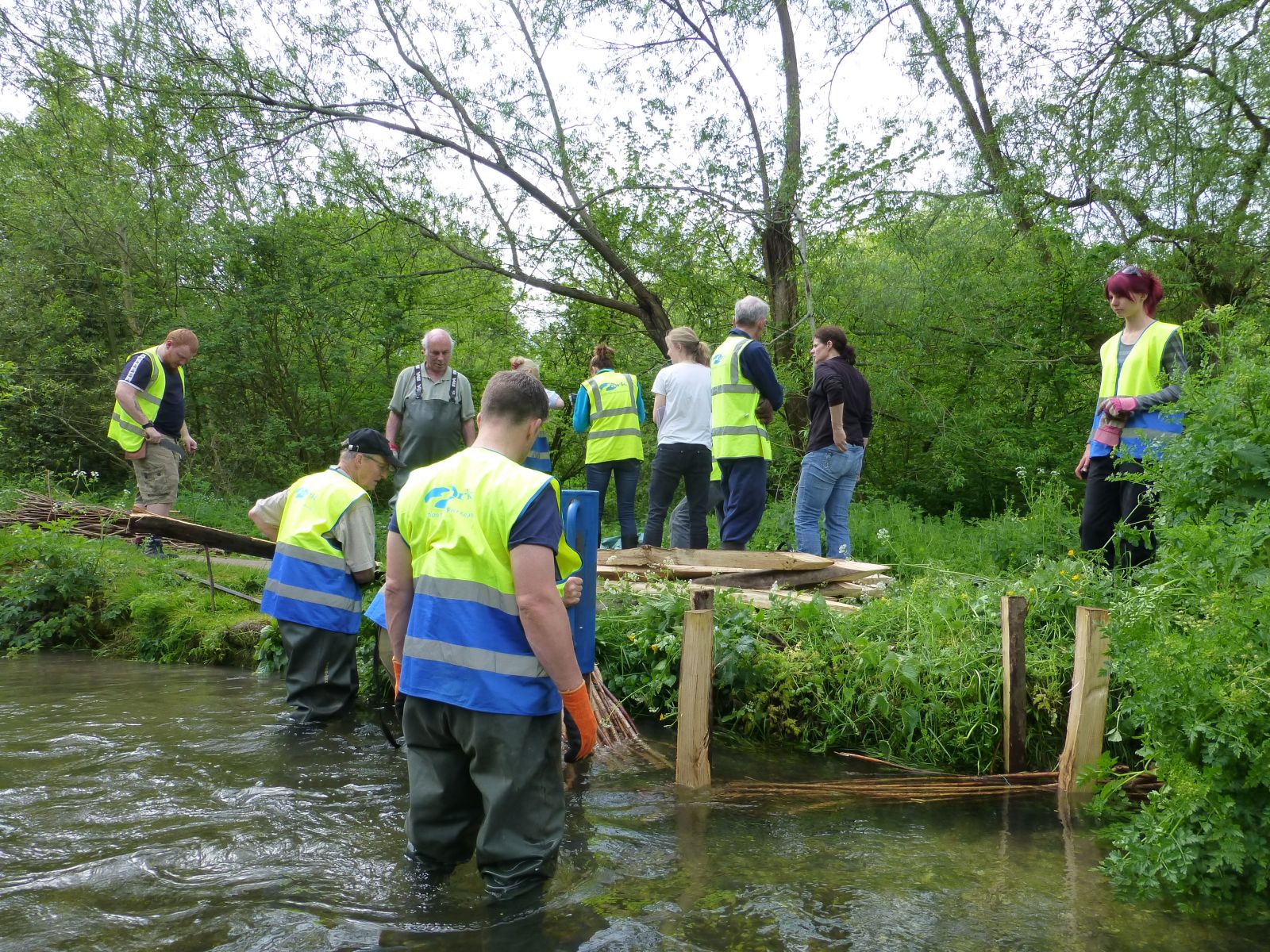 volunteers on the lambourn project