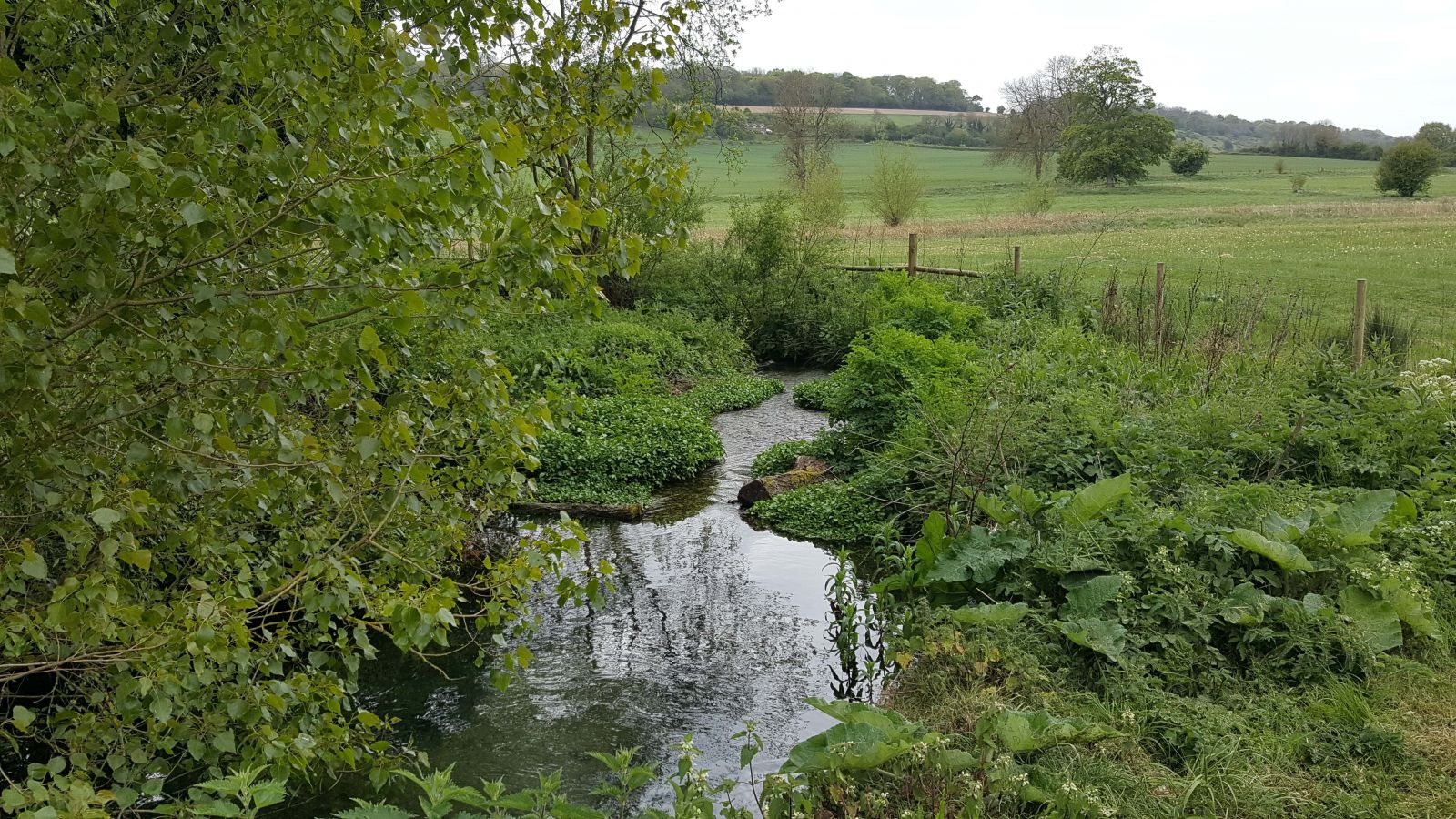 Durnsford Mill Fish Pass 2017